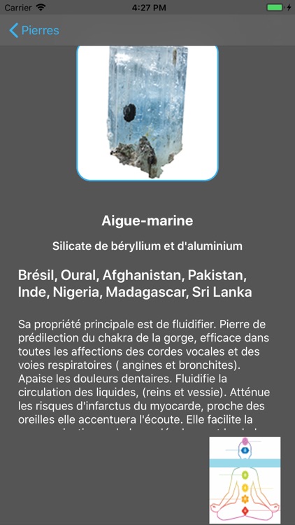 LithoBasePro screenshot-3