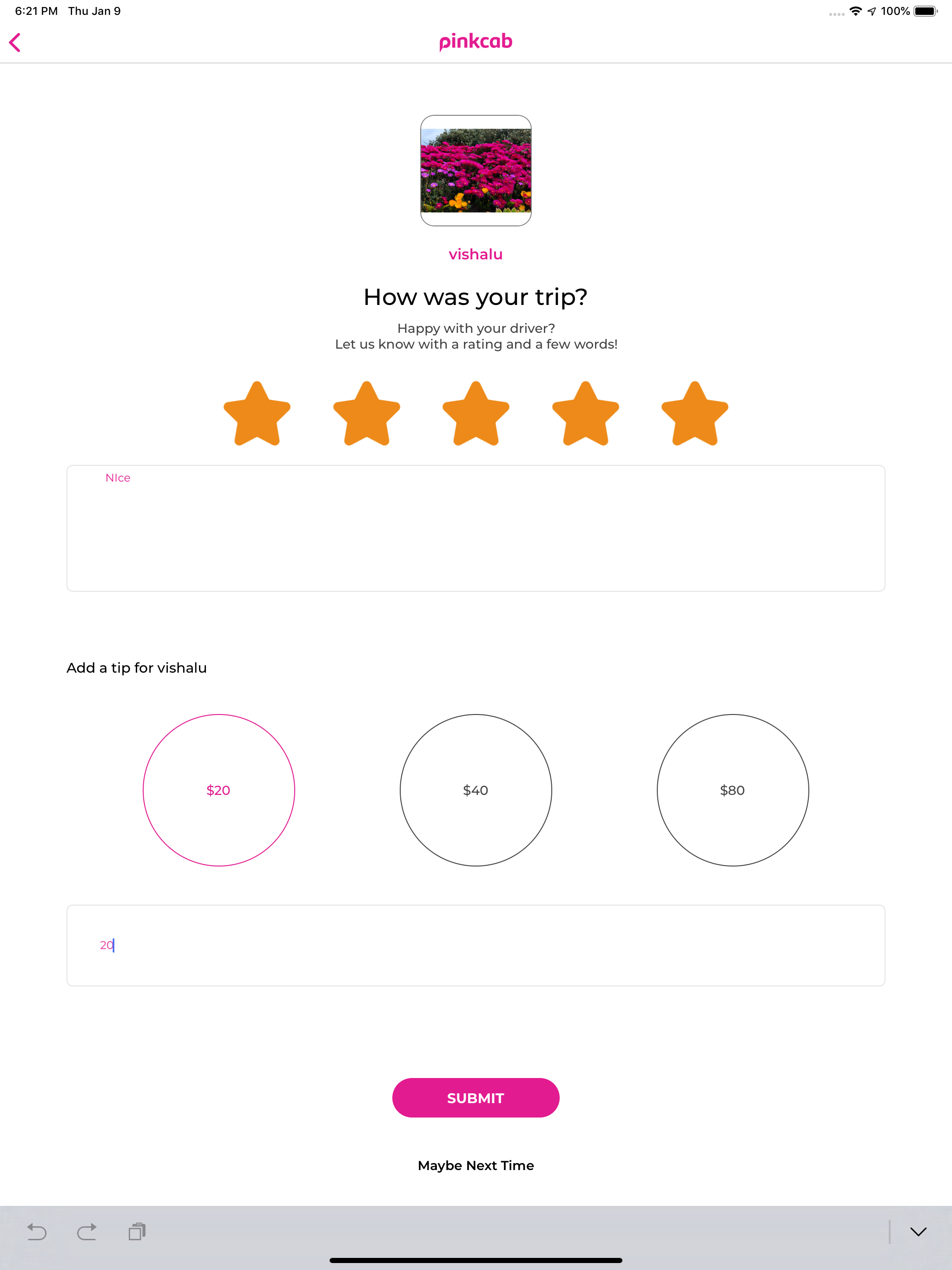 PinkCab Passenger screenshot 15