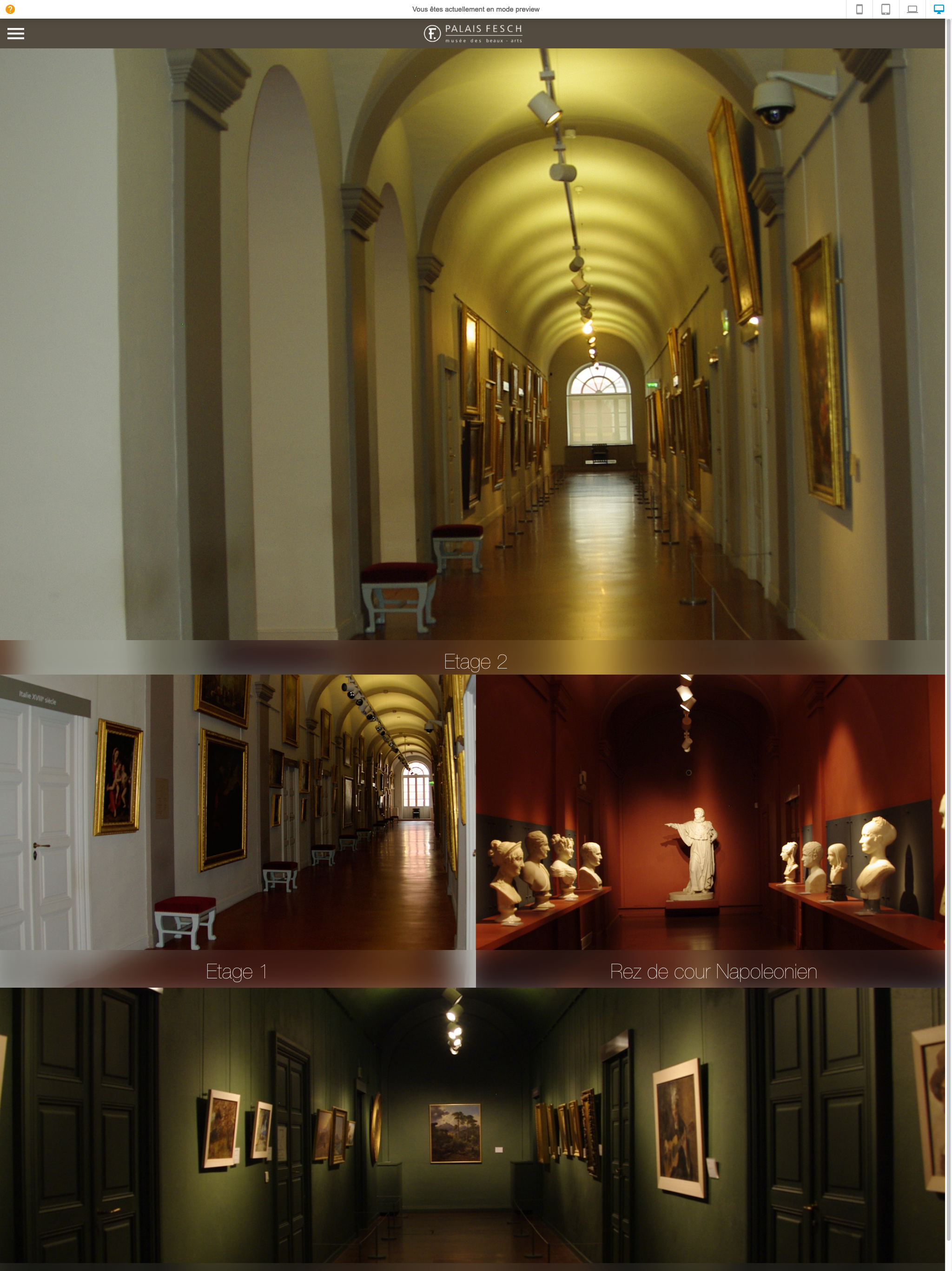 Musée Fesch screenshot 5