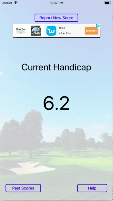 Handicap Caddie