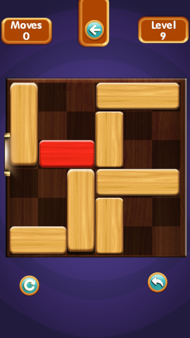 Unblock Puzzle Pro Screenshot