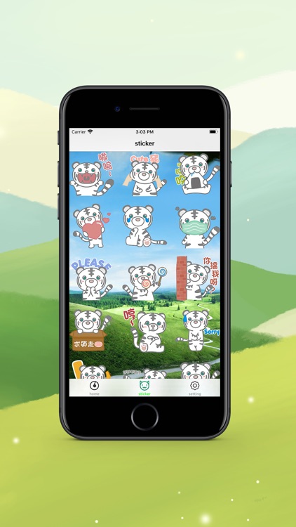 eA white tiger
