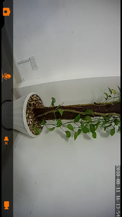Lizvie Screenshot
