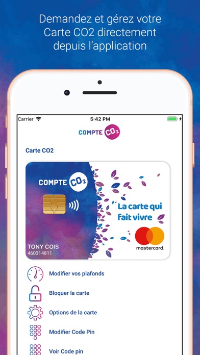 Screenshot #2 pour Compte CO2