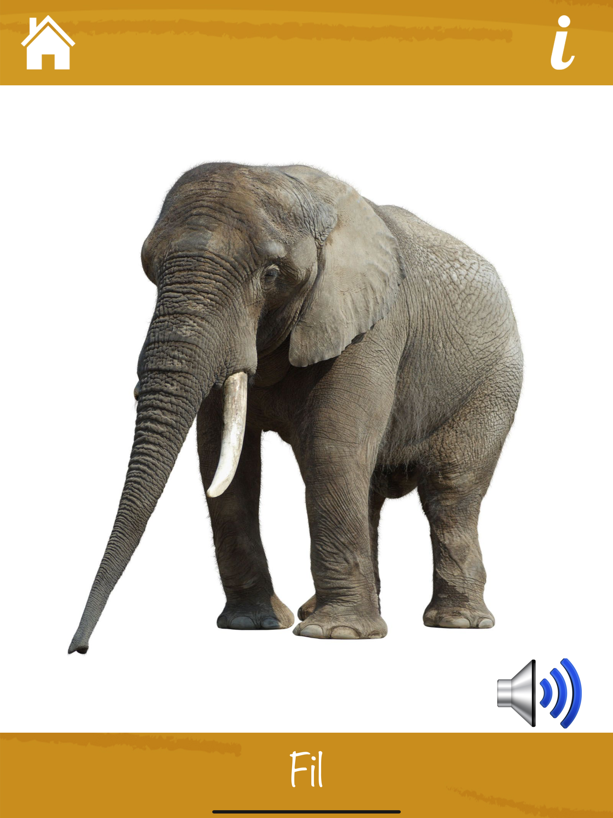 Learn Animals and Sounds screenshot 8