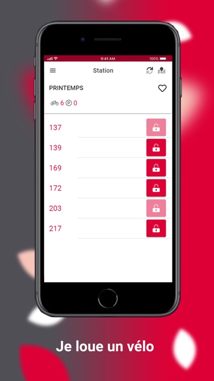 Rubis vélo libre service screenshot-3