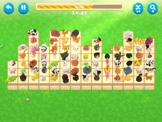 Matching Pet 3D iPad screenshot