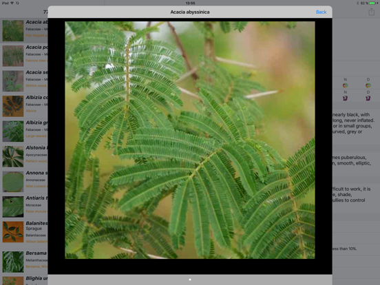 Screenshot #6 pour Uganda Trees