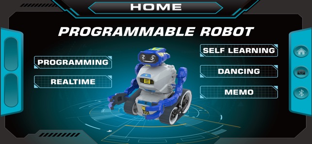 Programmable Robot