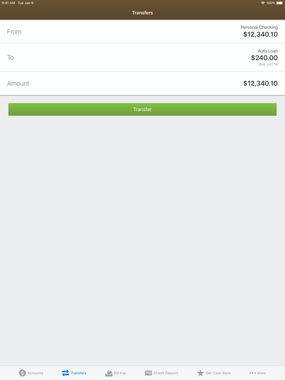 Great Basin FCU iPad screenshot 4 - Finance app
