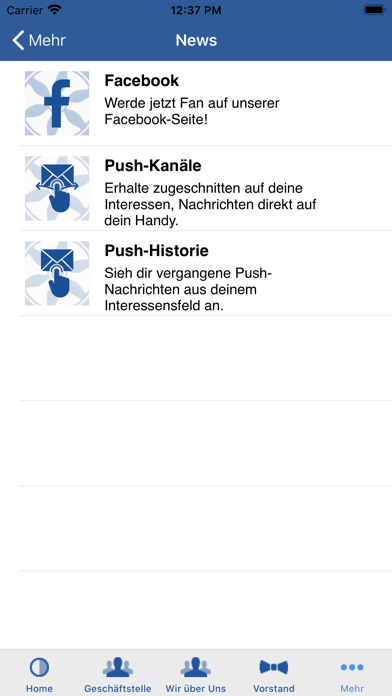 Blau-Weiß Schinkel Screenshot
