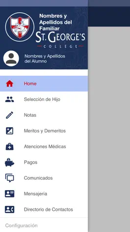 Game screenshot SGOnline apk