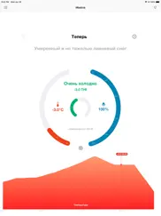 Термо Гигрометр айпад изображения 1