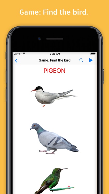Cards with Birds screenshot-4
