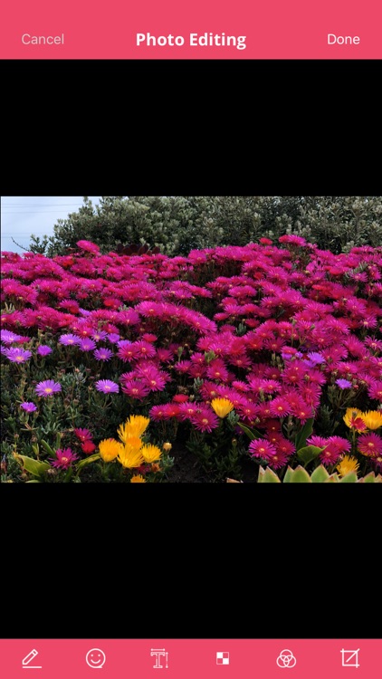 Shiny Video & Image Editor