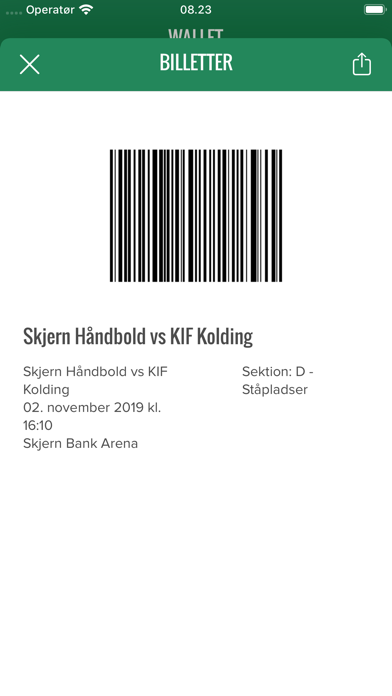 Skjern Håndbold screenshot 4