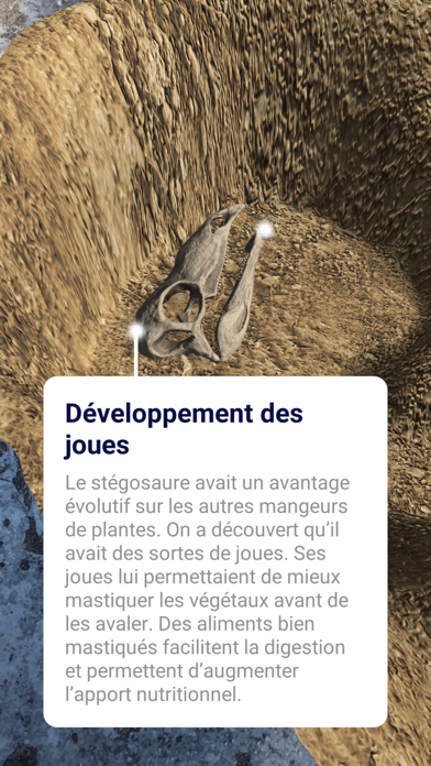 Screenshot #2 pour ARcheology- Déterre l’Histoire