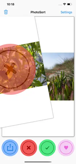 Game screenshot PhotoSort apk