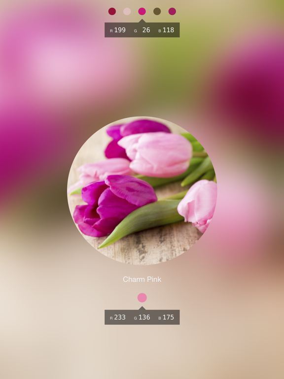 Color Lens: an AR color picker iPad screenshot 4 - Photo & Video app
