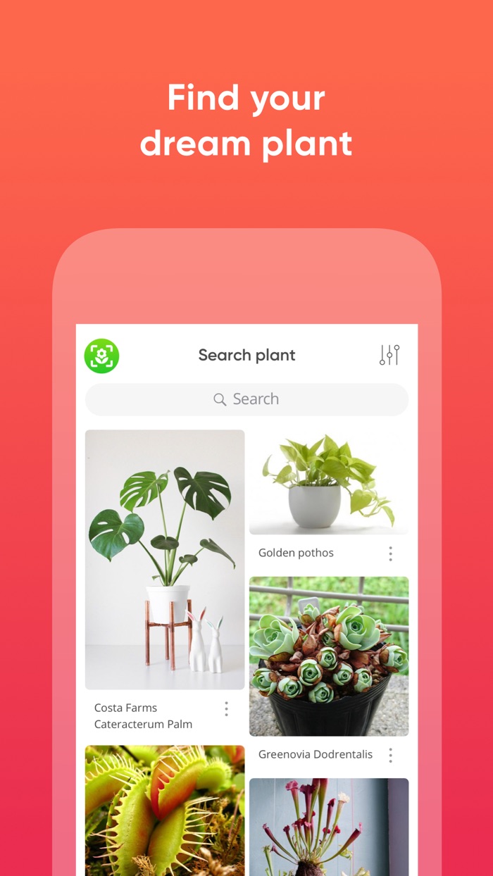 ThePlantMe Plant Identifier