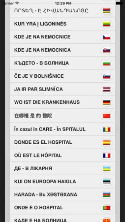 Offline Translate screenshot 3