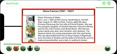 Family Tree Designer