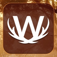 Word Wild sur PC