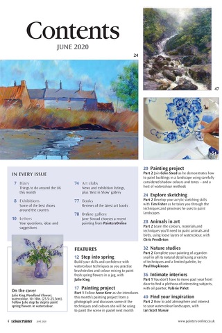 Leisure Painter Magazine screenshot 2