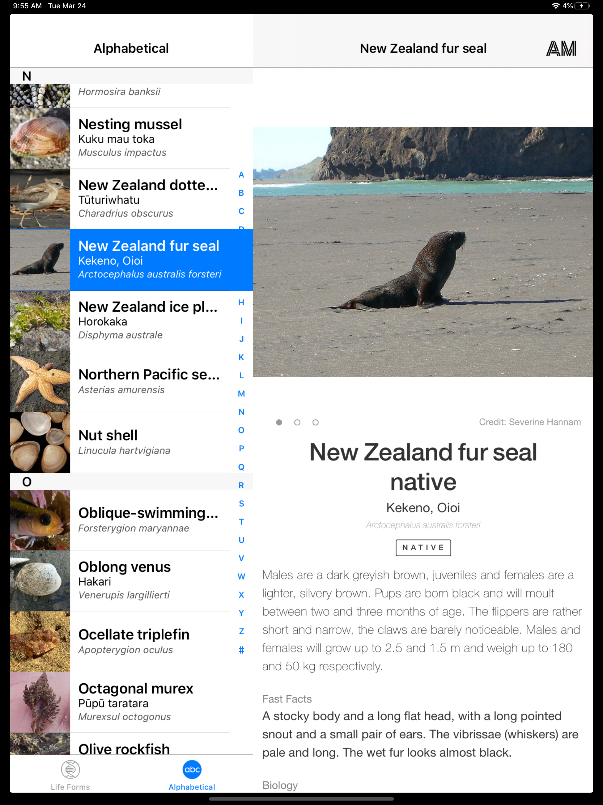 New Zealand Marine Life
