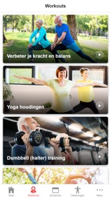 Schermafbeelding