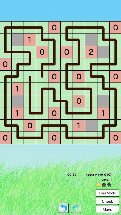 Ultimate Logic Puzzle screenshot-4