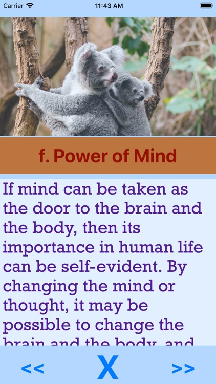 Mind Brain & Body screenshot-4