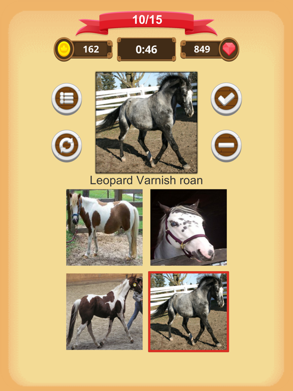 Horse Coat Colors - Quiz iPad screenshot