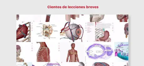 Anatomía & Fisiología