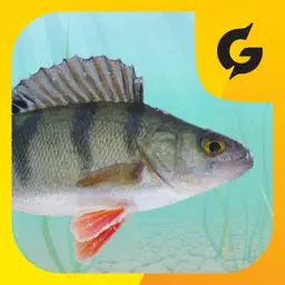 Kalamäng app icon
