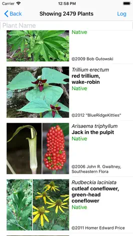 Game screenshot Ohio Wildflowers apk