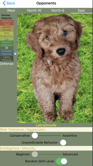 K9 Sheepshead: Schafkopf Screenshot