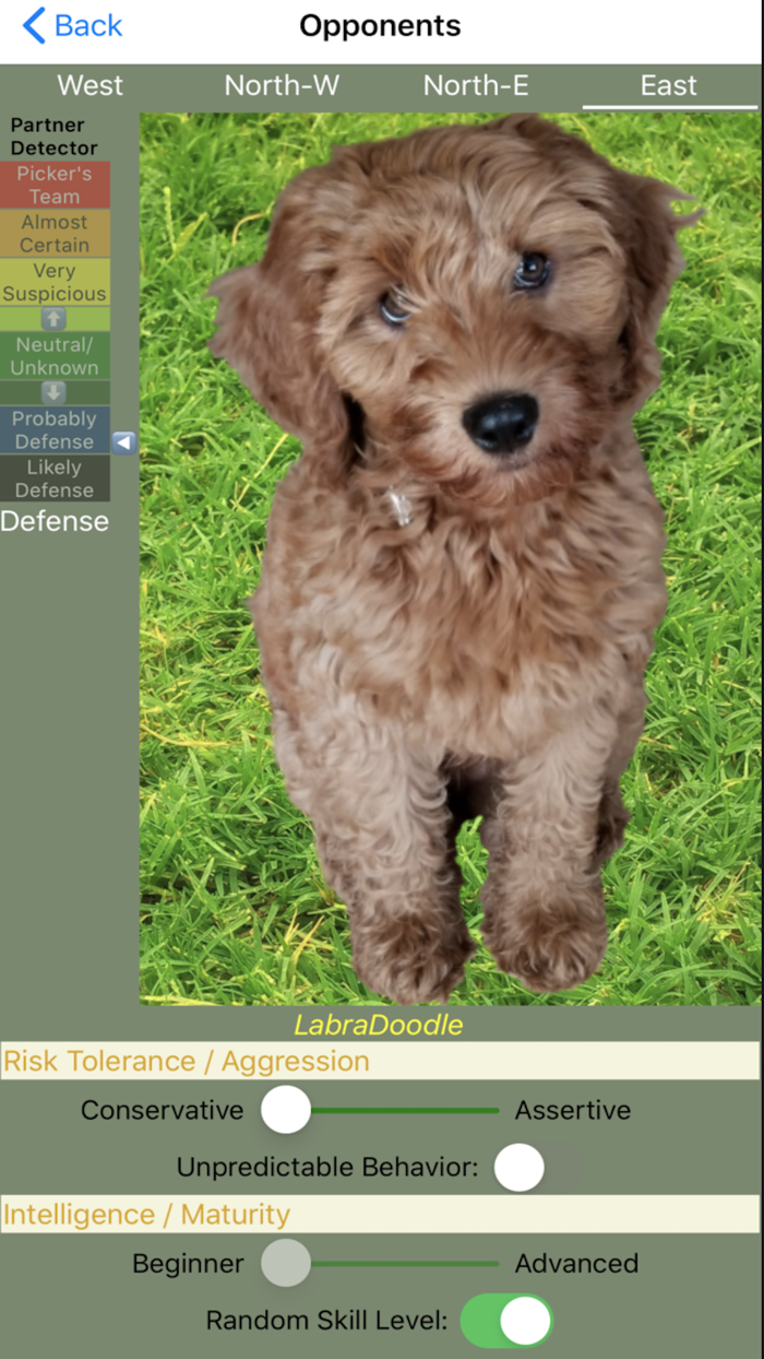 K9 Sheepshead Schafkopf Cards