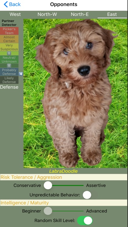 K9 Sheepshead: Schafkopf screenshot-4