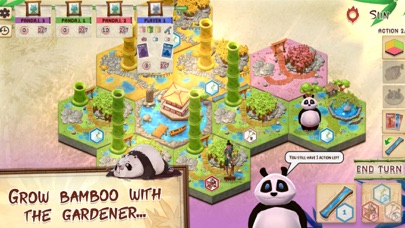 Takenoko: the Board Game Screenshot