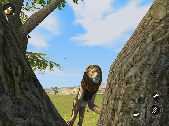 Wild Lion Survival Simulator для iPad