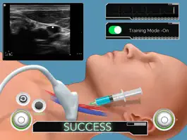 Game screenshot USGVA Simulation apk