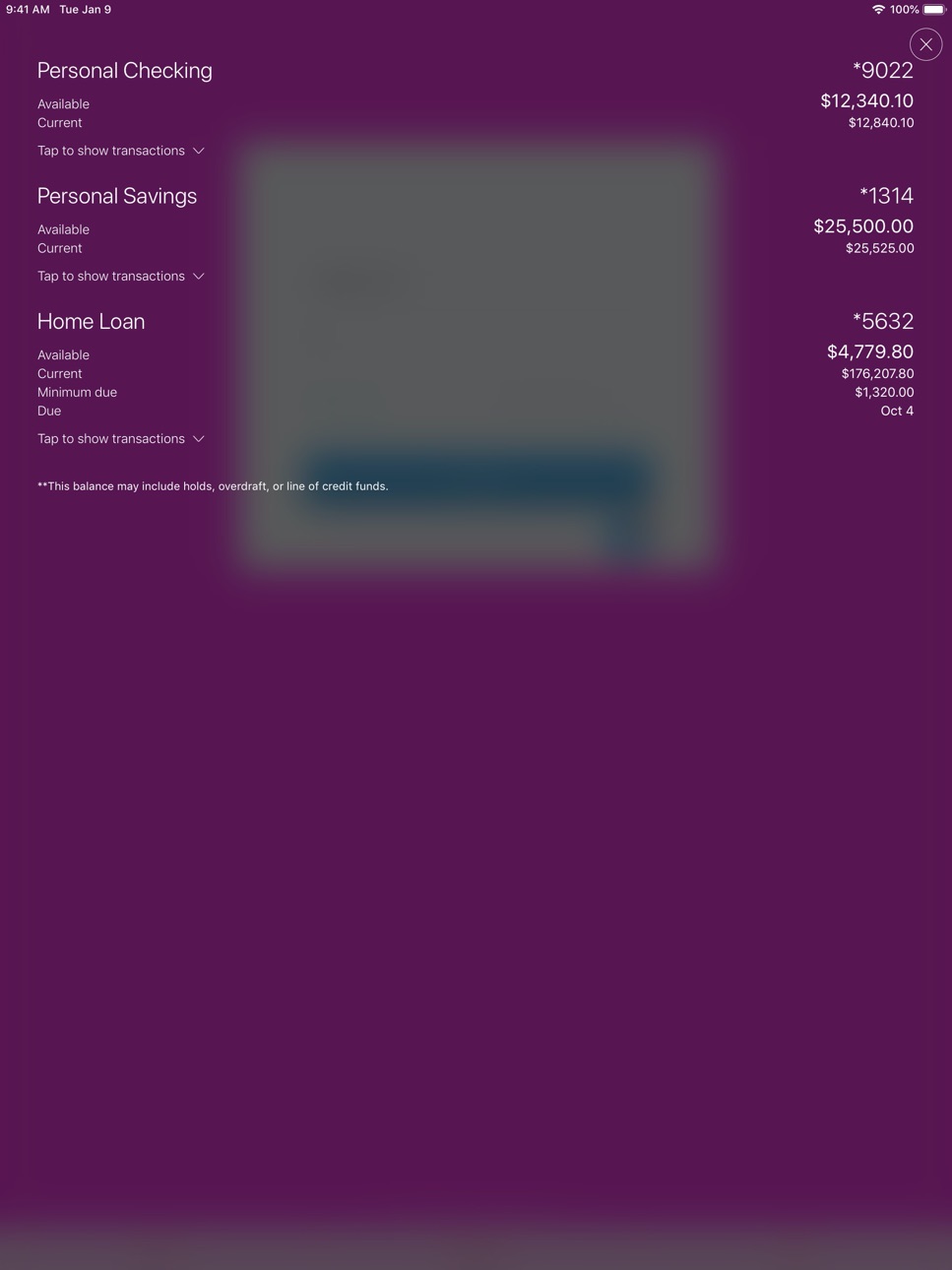 iPad screenshot