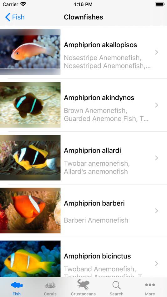 #2. Reeflex.net (iOS) 来自: Peter Nickel