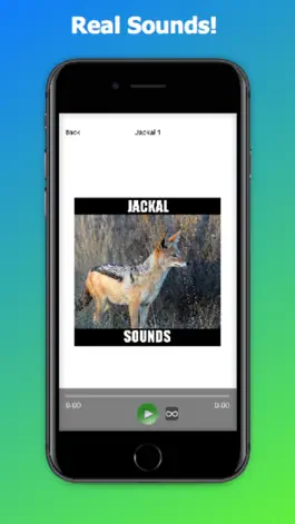 Game screenshot Jackal Sounds Effects hack