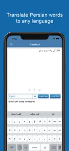 Persian Dictionary Offline screenshot #5 for iPhone