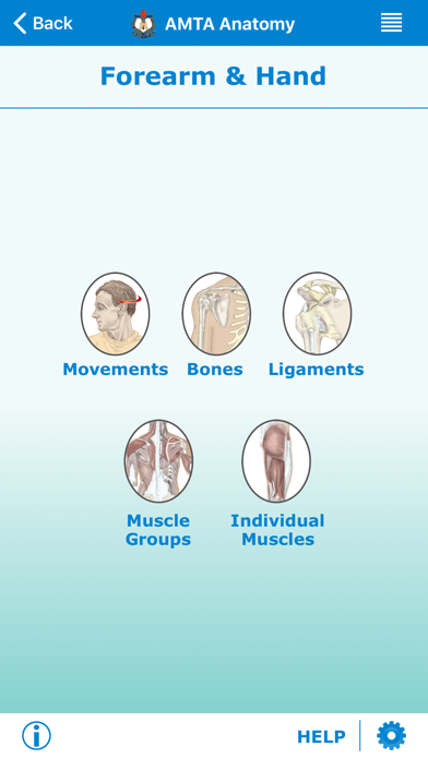 AMTA Massage Anatomy Guide Screenshot