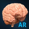 AnatomyAR+ for Merge Cube icon