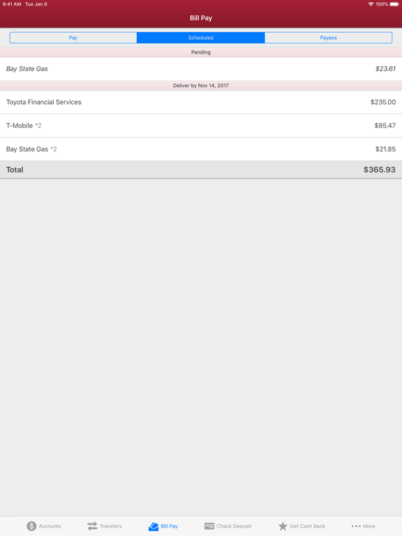 MIT Federal Credit Union iPad screenshot 6 - Finance app