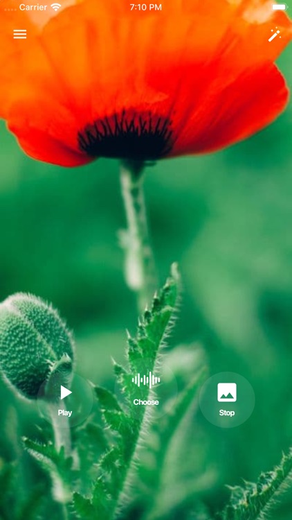 Relax and meditation music screenshot-3